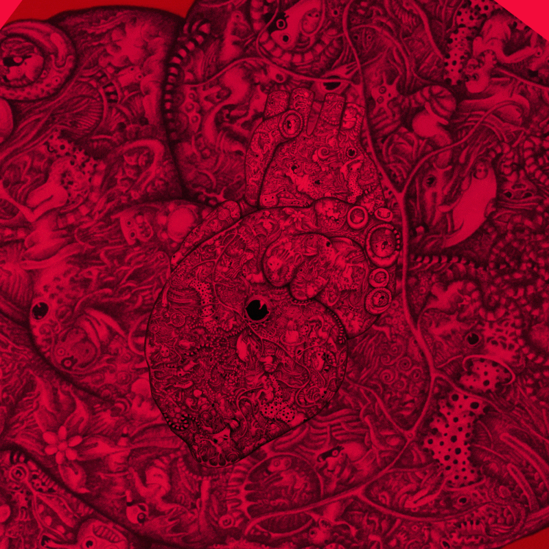 Full Image